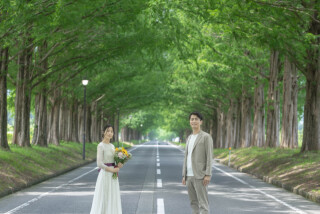 wacoya for wedding_メタセコイア並木道ロケーションフォト並木道【春夏】