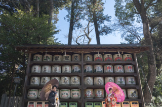 wacoya for wedding_todays'special!