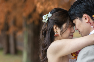 wacoya for wedding_《滋賀》メタセコイア　秋/冬