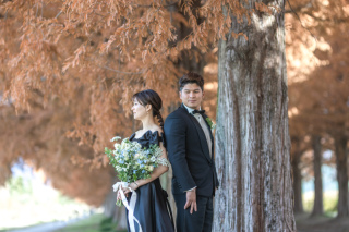 wacoya for wedding_《滋賀》メタセコイア　秋/冬