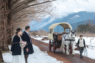 wacoya for wedding_《滋賀》メタセコイア　秋/冬