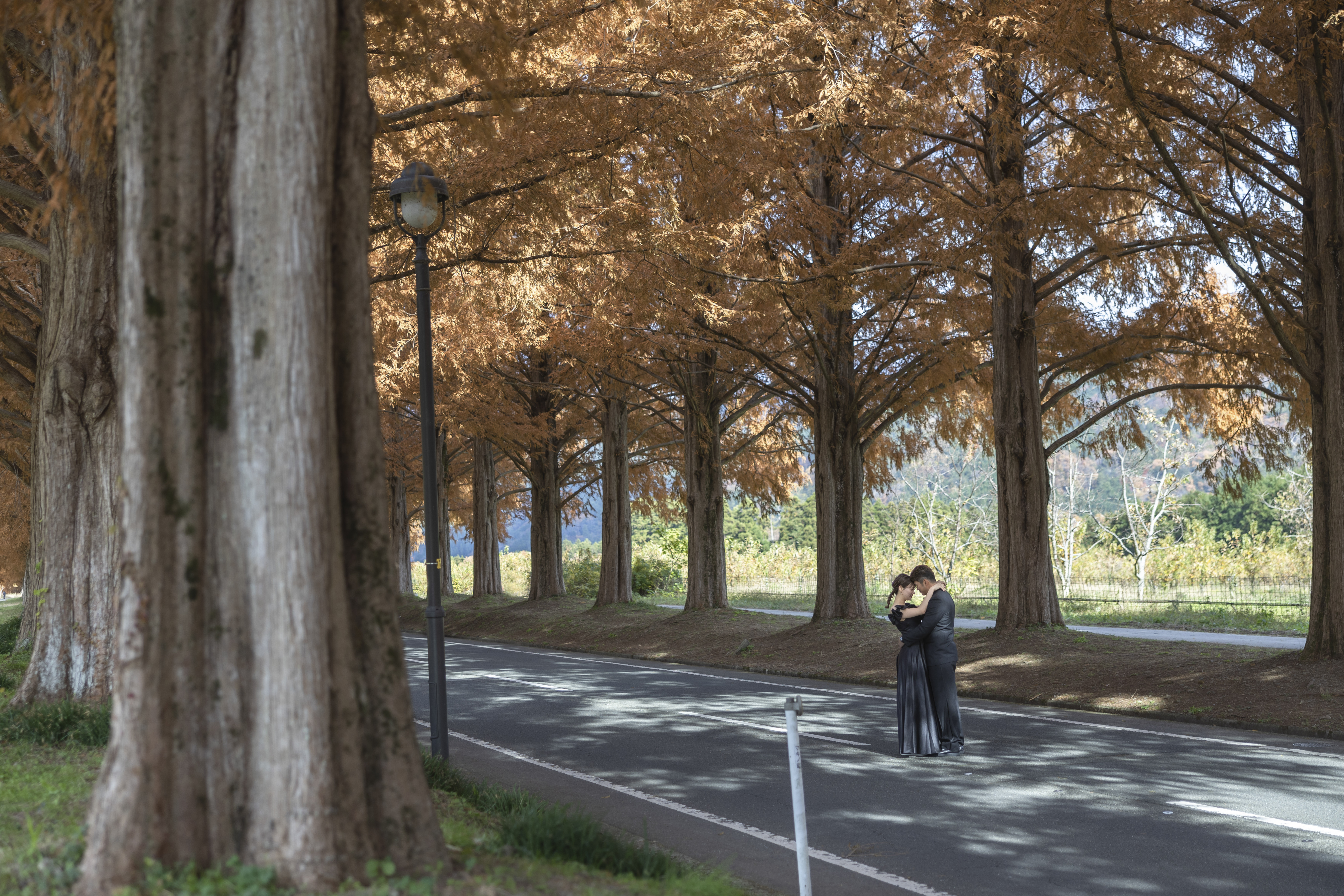 Point1 多彩な撮影シーン