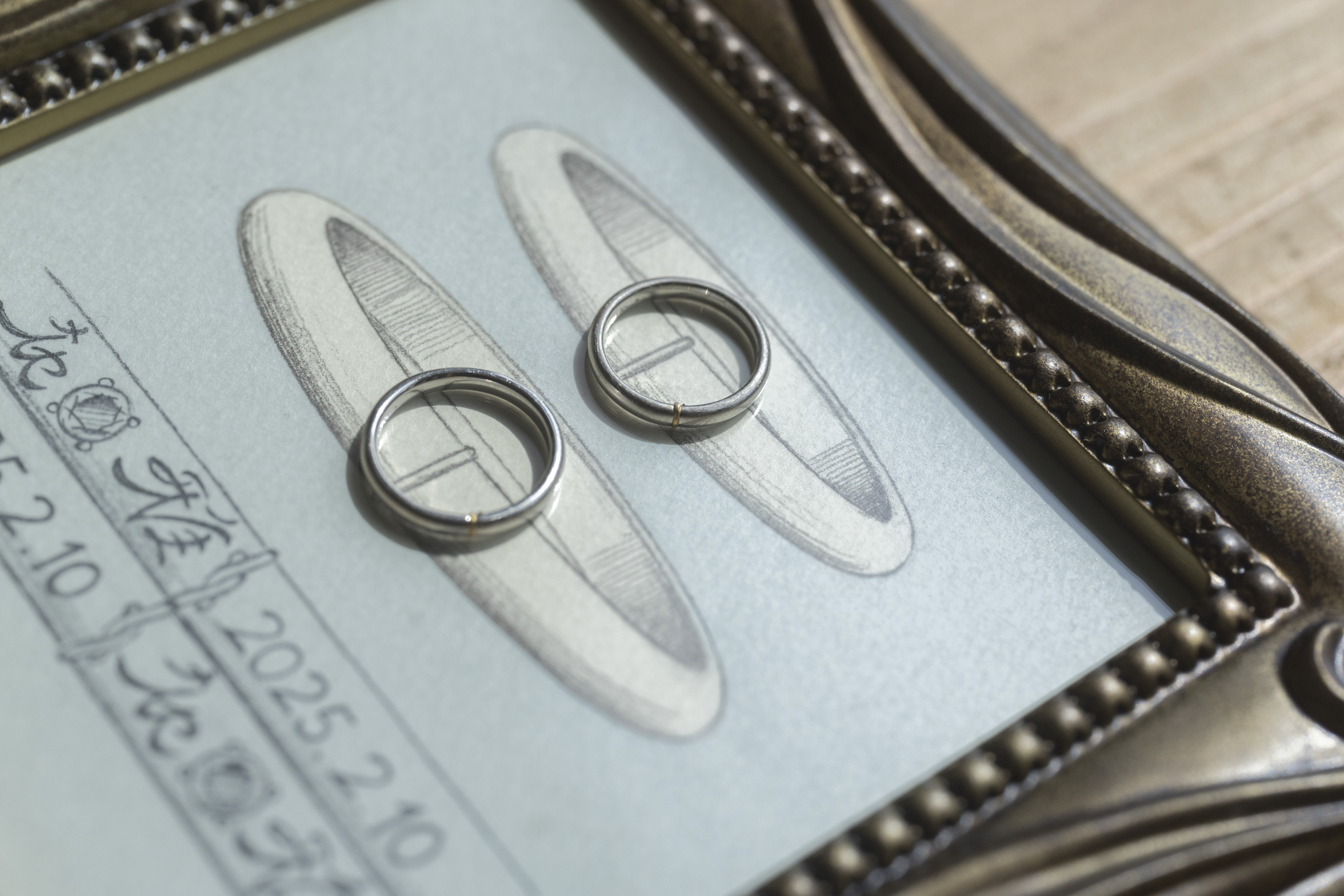 Point1 多彩な撮影シーン