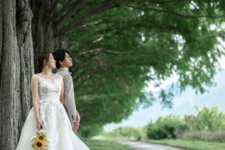wacoya for wedding_Today's Special!