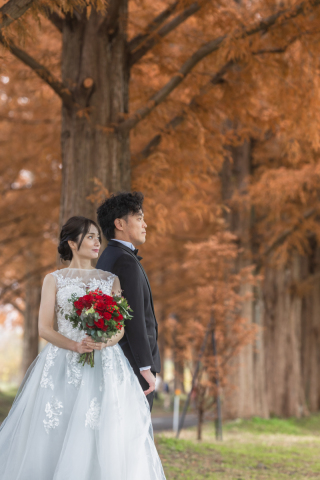 wacoya for wedding_《滋賀》メタセコイア 洋装 秋/冬