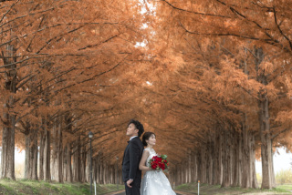 wacoya for wedding_《滋賀》メタセコイア　秋/冬