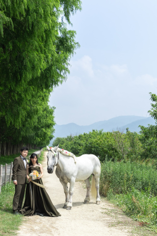 wacoya for wedding_《滋賀》メタセコイア　春/夏