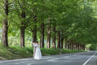 wacoya for wedding_メタセコイア並木道ロケーションフォト【秋冬】