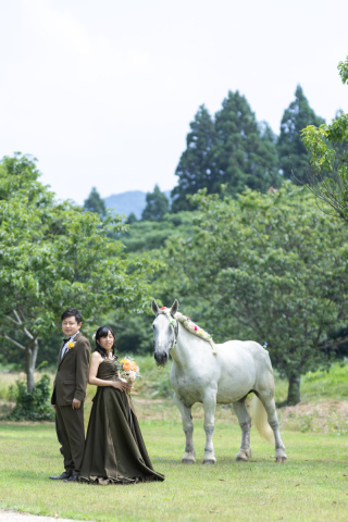 wacoya for wedding_《滋賀》メタセコイア　春/夏