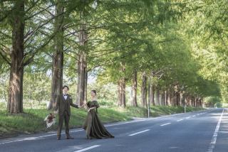 wacoya for wedding_《滋賀》メタセコイア　春/夏