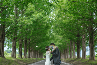 wacoya for wedding_《滋賀》メタセコイア　春/夏