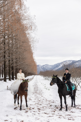 wacoya for wedding_《滋賀》メタセコイア　秋/冬