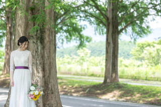 wacoya for wedding_メタセコイア並木道ロケーションフォト並木道【春夏】