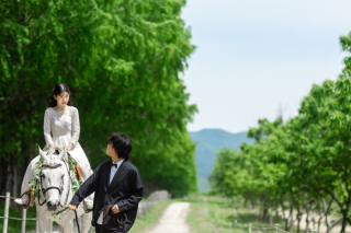 wacoya for wedding_Today's Special!