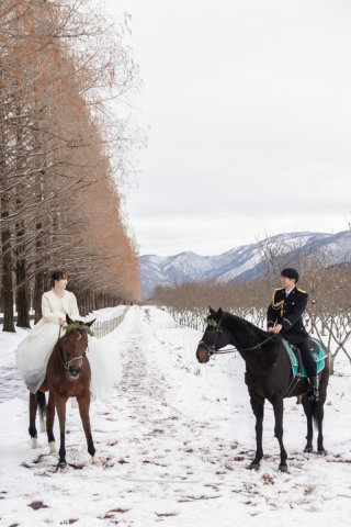 wacoya for wedding_《滋賀》メタセコイア　秋/冬