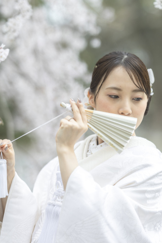 wacoya for wedding_《京都》長岡天満宮｜春/夏