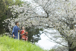 wacoya for wedding_《京都》長岡天満宮｜春/夏