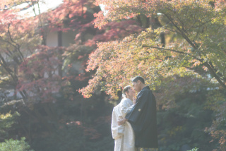 wacoya for wedding_《京都》長岡天満宮 和装 秋/冬