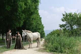 wacoya for wedding_《滋賀》メタセコイア　春/夏