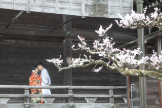 wacoya for wedding_Today's Special!