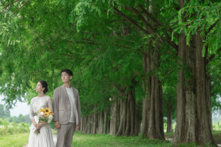 wacoya for wedding_メタセコイア並木道ロケーションフォト並木道【春夏】