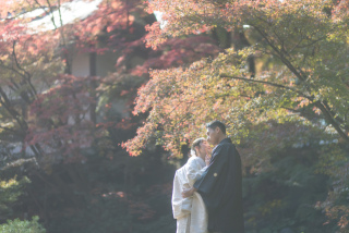 wacoya for wedding_《京都》長岡天満宮　秋/冬