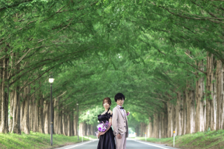 wacoya for wedding_《滋賀》メタセコイア　春/夏