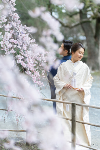 wacoya for wedding_Today's Special!