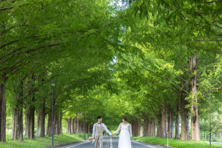 wacoya for wedding_メタセコイア並木道ロケーションフォト【秋冬】
