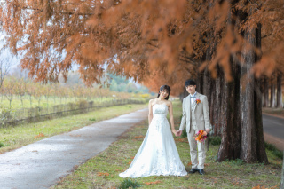 wacoya for wedding_《滋賀》メタセコイア　秋/冬