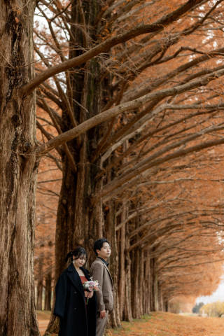 wacoya for wedding_《滋賀》メタセコイア　秋/冬