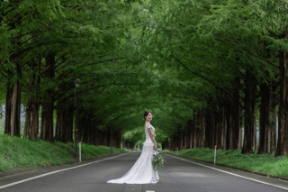 wacoya for wedding_《滋賀》メタセコイア　春/夏