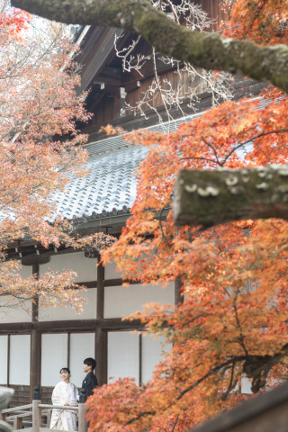 wacoya for wedding_《滋賀》西教寺　秋/冬