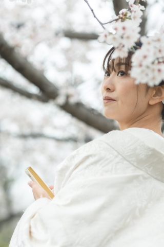 wacoya for wedding_Today's Special!