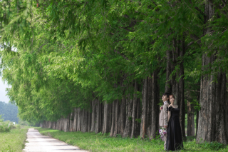 wacoya for wedding_《滋賀》メタセコイア　春/夏