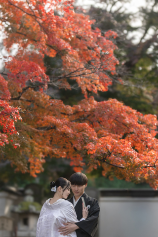 wacoya for wedding_《滋賀》西教寺　秋/冬