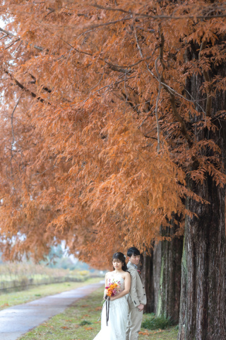 wacoya for wedding_《滋賀》メタセコイア　秋/冬
