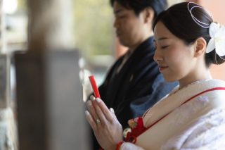 wacoya for wedding_Today's Special!