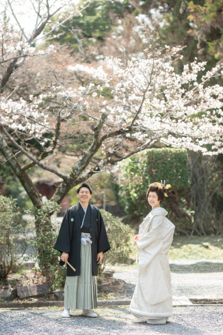 wacoya for wedding_Today's Special!