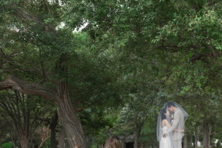 wacoya for wedding_《滋賀》ミステリー森琵琶　場所いろいろ