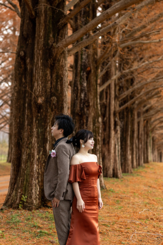 wacoya for wedding_《滋賀》メタセコイア　秋/冬