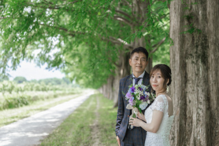 wacoya for wedding_《滋賀》メタセコイア　春/夏