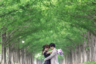 wacoya for wedding_《滋賀》メタセコイア　春/夏