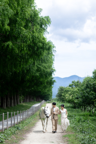 wacoya for wedding_Today's Special!