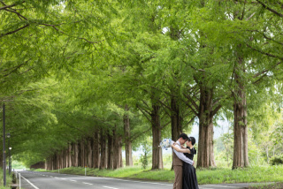wacoya for wedding_メタセコイア並木道ロケーションフォト並木道【春夏】