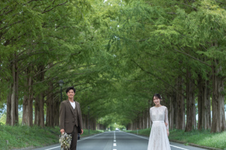 wacoya for wedding_《滋賀》メタセコイア 春/夏