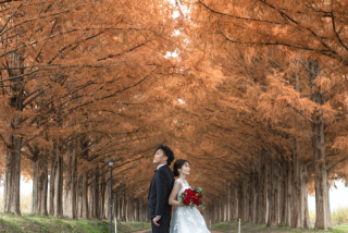 wacoya for wedding_《滋賀》メタセコイア 洋装 秋/冬