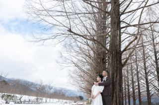 wacoya for wedding_《滋賀》メタセコイア　秋/冬