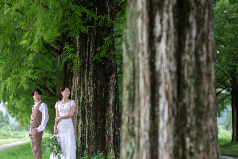 マキノ町メタセコイア並木での撮影の一枚。表通りもかわいいですが、遊歩道での撮影は日本とは思えない景色です★