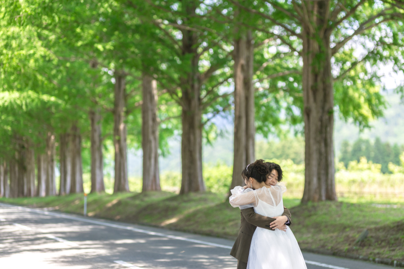 【20,000円OFF】夏プラン♪8月31日まで《メタセコイア+琵琶湖洋装1着》メタセコイア並木道と琵琶湖のビーチの2ロケプラン